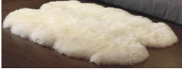 羊皮 80-90 cm 